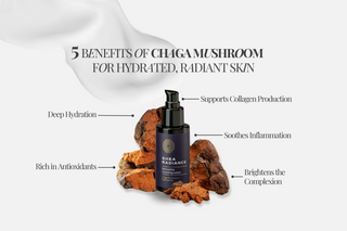 5 Benefits of Chaga Mushroom for Hydrated, Radiant Skin