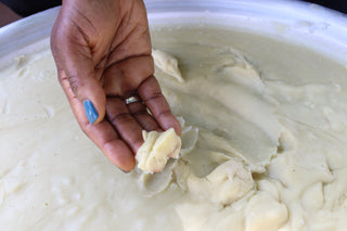 Hand scooping shea butter in a basin