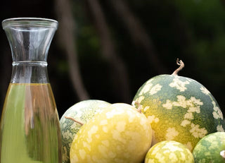 Origins of Kalahari Melon Seed Oil: The Ancient Desert Beauty Secret