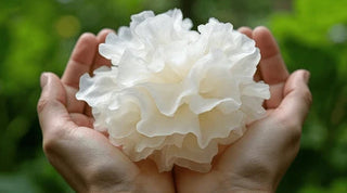 Tremella Mushroom: The Hydration-Boosting Super Ingredient in Our Collagen Super Serum