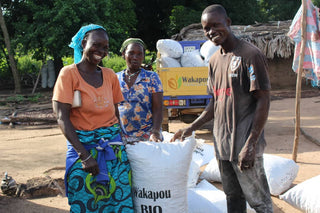 Women’s Gold - Expanding Economic Opportunities with Shea Butter