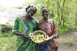 Two African women smiling and holding a bowl with shea fruits