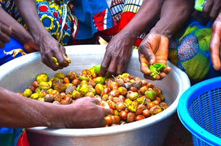 Hands sorting fruits in a large bowl with colorful clothing in the background